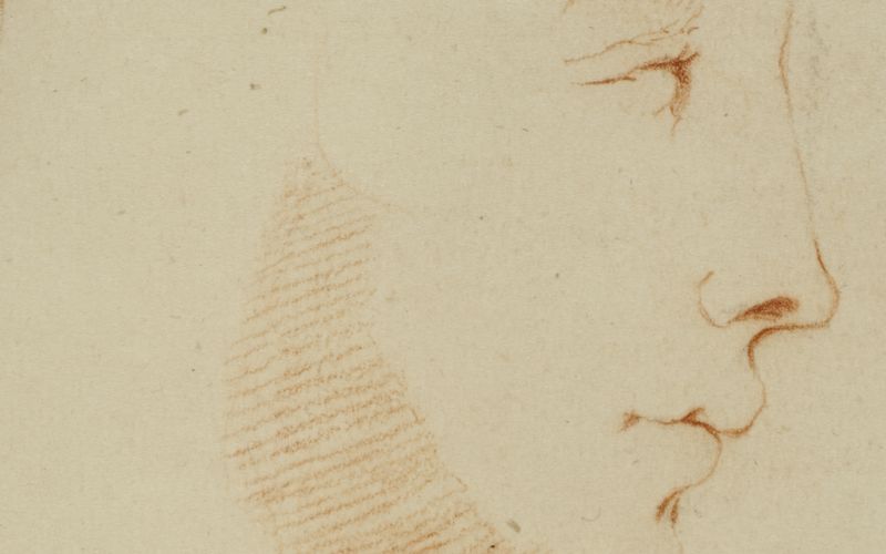 Estudio a lápiz rojo de un rostro de perfil, con la nariz y los labios